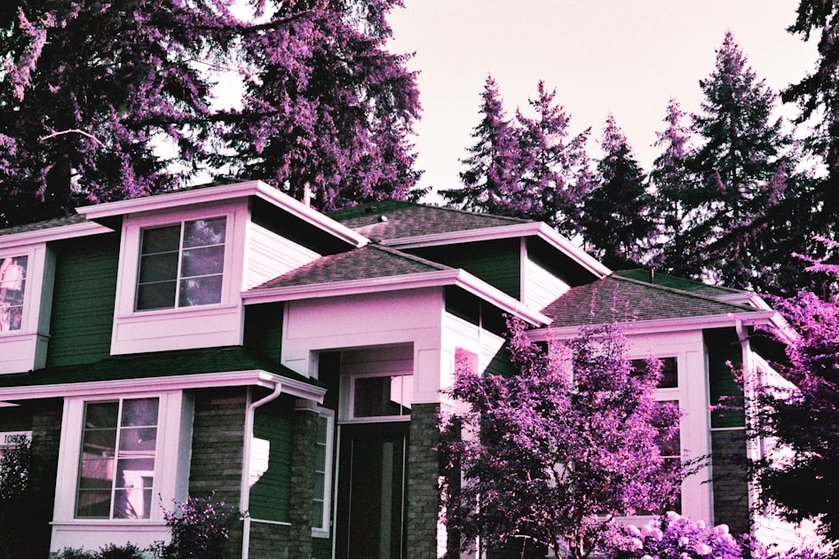 Creating Effective Calls to Action on Your Homepage